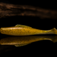 TOP SHELF Slammers Minnow