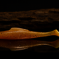 TOP SHELF Slammers Minnow
