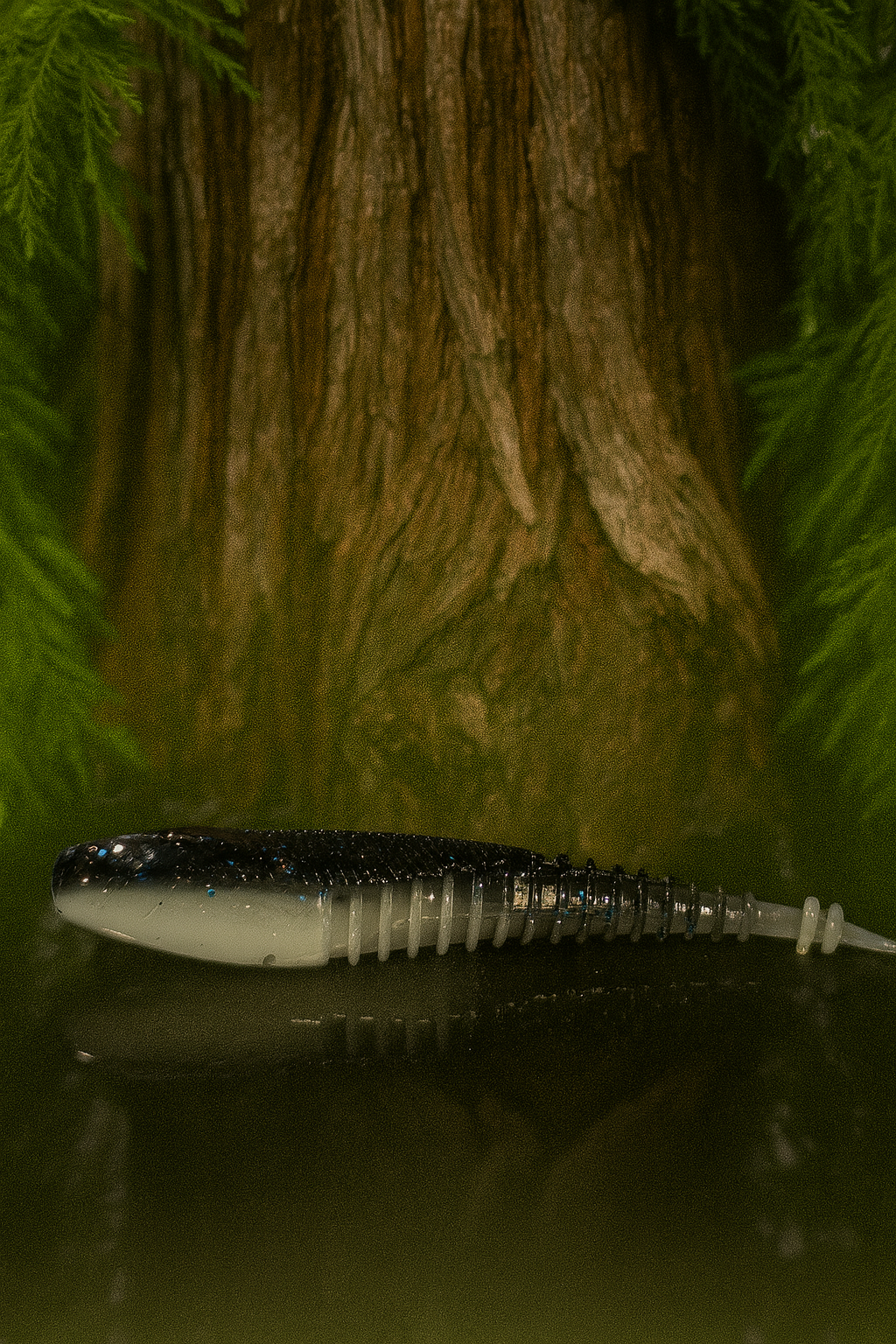 4.25" Winged Min'ner BFE Baits