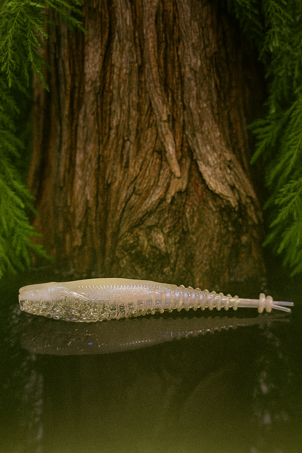 4.25" Winged Min'ner BFE Baits